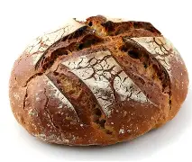 Fresh Whole Wheat Artisanal Brown Bread