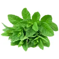 Mint Leaves (Pudina)