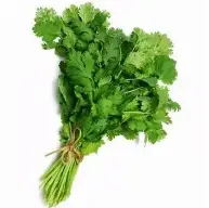 Coriander Leaves (Dhania)