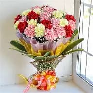 Mixed Carnation Bouquet