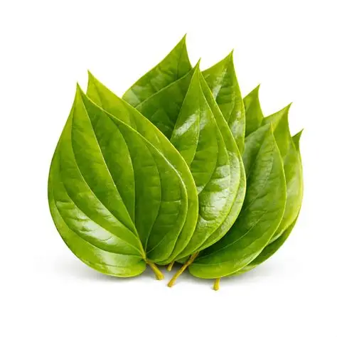 Betel Leaves (Paan Patta)
