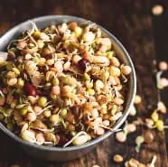 Mixed Sprouted Beans