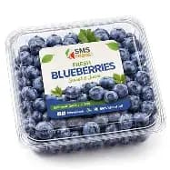 Blueberries - Imported